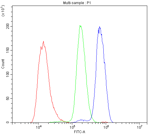 THY1 / CD90 Antibody - Flow Cytometry analysis of YAC-1 cells using anti-CD90/Thy1 antibody. Overlay histogram showing YAC-1 cells stained with anti-CD90/Thy1 antibody (Blue line). The cells were blocked with 10% normal goat serum. And then incubated with rabbit anti-CD90/Thy1 Antibody (1µg/10E6 cells) for 30 min at 20°C. DyLight®488 conjugated goat anti-rabbit IgG (5-10µg/10E6 cells) was used as secondary antibody for 30 minutes at 20°C. Isotype control antibody (Green line) was rabbit IgG (1µg/10E6 cells) used under the same conditions. Unlabelled sample (Red line) was also used as a control.
