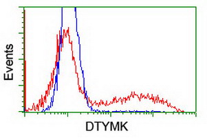 Thymidylate Kinase Antibody - HEK293T cells transfected with either overexpress plasmid (Red) or empty vector control plasmid (Blue) were immunostained by anti-DTYMK antibody, and then analyzed by flow cytometry.
