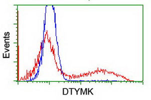 Thymidylate Kinase Antibody - HEK293T cells transfected with either overexpress plasmid (Red) or empty vector control plasmid (Blue) were immunostained by anti-DTYMK antibody, and then analyzed by flow cytometry.