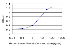 TIMM9 Antibody - Detection limit for recombinant GST tagged TIMM9 is approximately 0.1 ng/ml as a capture antibody.