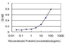 TIMP1 Antibody - Detection limit for recombinant GST tagged TIMP1 is approximately 3 ng/ml as a capture antibody.