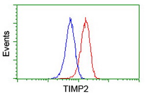 TIMP2 Antibody - Flow cytometry of Jurkat cells, using anti-TIMP2 antibody (Red), compared to a nonspecific negative control antibody (Blue).
