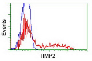 TIMP2 Antibody - HEK293T cells transfected with either overexpress plasmid (Red) or empty vector control plasmid (Blue) were immunostained by anti-TIMP2 antibody, and then analyzed by flow cytometry.