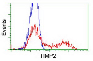 TIMP2 Antibody - HEK293T cells transfected with either overexpress plasmid (Red) or empty vector control plasmid (Blue) were immunostained by anti-TIMP2 antibody, and then analyzed by flow cytometry.