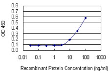 TIMP3 Antibody - Detection limit for recombinant GST tagged TIMP3 is 3 ng/ml as a capture antibody.