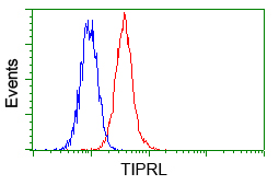 TIPRL / TIP Antibody - Flow cytometric analysis of Hela cells, using anti-TIPRL antibody, (Red) compared to a nonspecific negative control antibody (Blue).