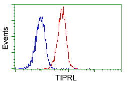 TIPRL / TIP Antibody - Flow cytometric analysis of Jurkat cells, using anti-TIPRL antibody, (Red) compared to a nonspecific negative control antibody (Blue).