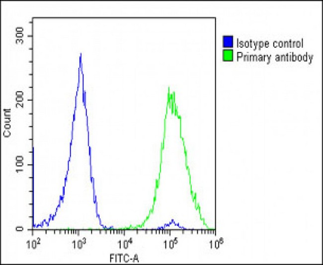 TK1 / TK / Thymidine Kinase Antibody - Overlay histogram showing U-2 OS cells stained with TK1 Antibody (Center) (green line). The cells were fixed with 2% paraformaldehyde (10 min) and then permeabilized with 90% methanol for 10 min. The cells were then icubated in 2% bovine serum albumin to block non-specific protein-protein interactions followed by the antibody (TK1 Antibody (Center), 1:25 dilution) for 60 min at 37°C. The secondary antibody used was Goat-Anti-Rabbit IgG, DyLight® 488 Conjugated Highly Cross-Adsorbed (OE188374) at 1/200 dilution for 40 min at 37°C. Isotype control antibody (blue line) was rabbit IgG1 (1µg/1x10^6 cells) used under the same conditions. Acquisition of >10, 000 events was performed.