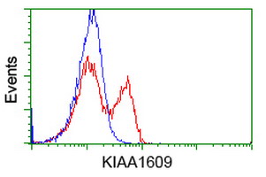 TLDC1 / KIAA1609 Antibody - HEK293T cells transfected with either overexpress plasmid (Red) or empty vector control plasmid (Blue) were immunostained by anti-KIAA1609 antibody, and then analyzed by flow cytometry.