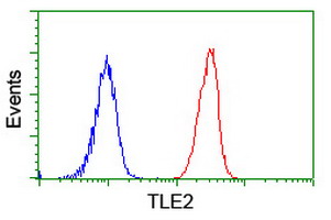 TLE2 Antibody - Flow cytometry of Jurkat cells, using anti-TLE2 antibody (Red), compared to a nonspecific negative control antibody (Blue).