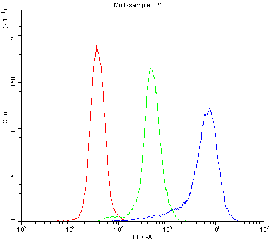 TLR1 Antibody - Flow Cytometry analysis of K562 cells using anti-TLR1 antibody. Overlay histogram showing K562 cells stained with anti-TLR1 antibody (Blue line). The cells were blocked with 10% normal goat serum. And then incubated with rabbit anti-TLR1 Antibody (1µg/1x106 cells) for 30 min at 20°C. DyLight®488 conjugated goat anti-rabbit IgG (5-10µg/1x106 cells) was used as secondary antibody for 30 minutes at 20°C. Isotype control antibody (Green line) was rabbit IgG (1µg/1x106) used under the same conditions. Unlabelled sample (Red line) was also used as a control.
