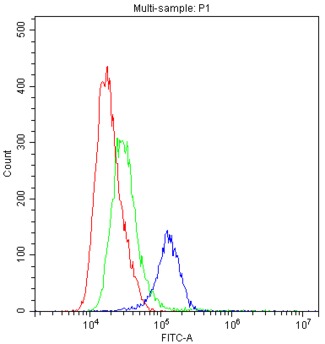 TLR1 Antibody - Flow Cytometry analysis of THP-1 cells using anti-TLR1 antibody. Overlay histogram showing THP-1 cells stained with anti-TLR1 antibody (Blue line). The cells were blocked with 10% normal goat serum. And then incubated with rabbit anti-TLR1 Antibody (1µg/1x106 cells) for 30 min at 20°C. DyLight®488 conjugated goat anti-rabbit IgG (5-10µg/1x106 cells) was used as secondary antibody for 30 minutes at 20°C. Isotype control antibody (Green line) was rabbit IgG (1µg/1x106) used under the same conditions. Unlabelled sample (Red line) was also used as a control.