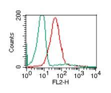 TLR2 Antibody - Fig-3: Intracellular flow analysis of TLR2 in PBMC (Monocytes) using 0.5 µg/10^6 cells of TLR2 antibody. Green represents isotype control; red represents anti-TLR2 antibody. Goat anti-Mouse PE conjugate was used as secondary.