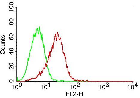 TLR2 Antibody - Fig-4: Intracellular flow analysis of TLR2 in THP-1 cells using 0.5 µg/10^6 cells of TLR2 antibody. Green represents isotype control; red represents anti-TLR2 antibody. Goat anti-Mouse PE conjugate was used as secondary antibody.