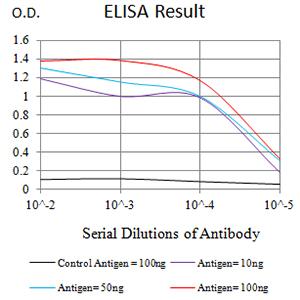 TLR2 Antibody - Black line: Control Antigen (100 ng);Purple line: Antigen (10ng); Blue line: Antigen (50 ng); Red line:Antigen (100 ng)