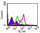 TLR2 Antibody - Intracellular flow analysis of TLR2 in 10^6 PBMCs using 2 ug of antibody. Shaded histogram represents cells without antibody; green represents isotype control; purple represents anti-TLR2 antibody.