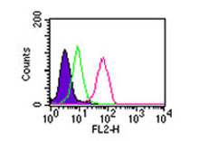 TLR2 Antibody - Cell surface flow analysis of TLR2 in ThP1 cells using TLR2 Antibody at 2 ug/10^6 cells. Shaded histogram represents ThP1 cells only, green represents isotype control, and red represents TLR2 stained cells. This image was taken for the unconjugated form of this product. Other forms have not been tested.