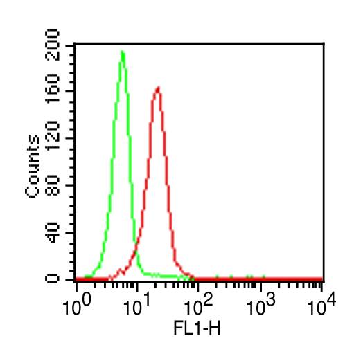 TLR2 Antibody - Fig-1: Intracellular flow analysis of TLR2 FITC conjugated in PBMC (Lymphocytes) using 0.5 µg/10^6 cells of TLR2 FITC conjugated antibody. Green represents isotype control; red represents anti-TLR2 FITC conjugated antibody.