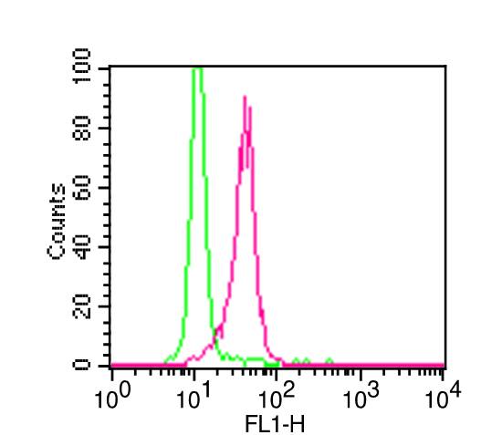 TLR2 Antibody - Fig-2: Intracellular flow analysis of TLR2 FITC conjugated in PBMC (Monocytes) using 0.5 µg/10^6 cells of TLR2 FITC conjugated antibody. Green represents isotype control; red represents anti-TLR2 FITC conjugated antibody.
