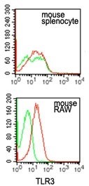 TLR3 Antibody - Flow Cytometry: TLR3 Antibody (27N3D4) [Azide Free] - Analysis of TLR3 using TLR3 monoclonal antibody. Mouse RAW cells and splenocytes were probed with TLR3 antibody (red) and isotype control antibody (green) at 1 ug/10^6 cells. This image was taken for the unmodified form of this product. Other forms have not been tested.