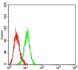 TLR3 Antibody - Flow cytometric analysis of HL-60 cells using CD283 mouse mAb (green) and negative control (red).