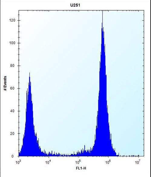 TLR4 Antibody - TLR4 Antibody flow cytometry of U251 cells (right histogram) compared to a negative control cell (left histogram). FITC-conjugated goat-anti-rabbit secondary antibodies were used for the analysis.