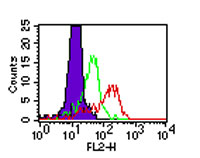TLR4 Antibody - Intracellular flow cytometry of TLR4 in human PBMCs using TLR4 antibody at 0.5 ug/10^6 cells. The shaded histogram represents cells without TLR4 antibody; green represents the isotype control; red represents TLR4 antibody. This image was taken for the unconjugated form of this product. Other forms have not been tested.
