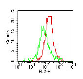 TLR4/MD-2 Complex Antibody - Cell surface flow cytometry of TLR4 in mouse peritoneal cells using antibody at 1 ug/1X10^6 cells. The green histogram represents the isotype control and red represents anti-TLR4 antibody.