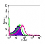 TLR4/MD-2 Complex Antibody - Cell surface flow analysis ofTLR4 in mouse peritoneal cells using 0.5 ug of TLR4/MD-2 Complex Antibody. Shaded histogram represents cells without antibody; green represents isotype control; red represents anti-TLR4 antibody. This image was taken for the unconjugated form of this product. Other forms have not been tested.