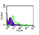 TLR4/MD-2 Complex Antibody - FACS analysis of cell surface TLR4 using TLR4/MD-2 Complex Antibody at 0.625 ug/10^6 Raw cells (pretreated with anti-CD16/32). The shaded histogram represents the isotype control. This image was taken for the unconjugated form of this product. Other forms have not been tested.