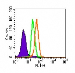 TLR5 Antibody - Intracellular flow analysis of TLR5 in Ramos cells using 1 ug of antibody. Shaded histogram represents cells without antibody; green represents isotype control; orange represents anti-TLR5 antibody.