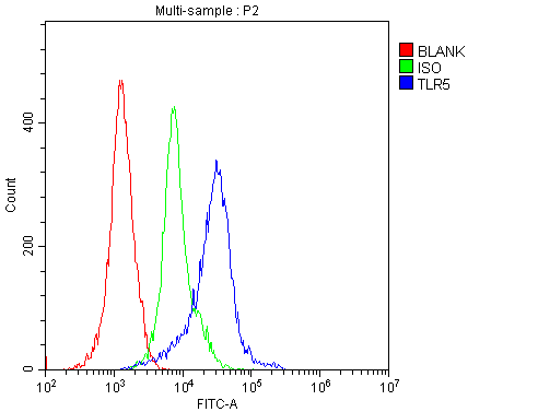 TLR5 Antibody - Flow Cytometry analysis of H-PBMC cells using anti-TLR5 antibody. Overlay histogram showing H-PBMC cells stained with anti-TLR5 antibody (Blue line). The cells were blocked with 10% normal goat serum. And then incubated with rabbit anti-TLR5 Antibody (1µg/10E6 cells) for 30 min at 20°C. DyLight®488 conjugated goat anti-rabbit IgG (5-10µg/10E6 cells) was used as secondary antibody for 30 minutes at 20°C. Isotype control antibody (Green line) was rabbit IgG (1µg/10E6 cells) used under the same conditions. Unlabelled sample (Red line) was also used as a control.
