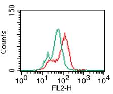 TLR5 Antibody - Fig-2: Intracellular flow analysis of hTLR5 in Monocytes using 0.5 µg/10^6 cells of hTLR5 antibody. Green represents isotype control; red represents anti-hTLR5 antibody. Goat anti-mouse PE conjugate was used as secondary.