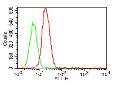 TLR5 Antibody - Fig-3: Intracellular flow analysis of hTLR5 antibody in TLR5 Transfected Cell line using 0.5 µg/10^6 cells of hTLR5 antibody. Green represents isotype control; red represents anti-hTLR5 antibody. Goat anti-mouse FITC conjugate was used as secondary antibody.