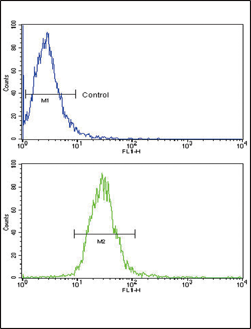 TLR6 Antibody - Flow cytometric of NCI-H460 cells using TLR6 Antibody (bottom histogram) compared to a negative control cell (top histogram). FITC-conjugated goat-anti-rabbit secondary antibodies were used for the analysis.
