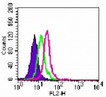 TLR6 Antibody - Intracellular flow cytometry of TLR6 in Ramos cells using TLR6 Antibody at0.5 ug/10^6 cells. Shaded histogram represents Ramos cells without antibody; green represents isotype control (BD Pharmingen);red represents anti-TLR6 antibody. This image was taken for the unconjugated form of this product. Other forms have not been tested.