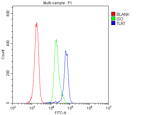 TLR7 / CD287 Antibody - Flow Cytometry analysis of H-PBMC cells using anti-TLR7 antibody. Overlay histogram showing H-PBMC cells stained with anti-TLR7 antibody (Blue line). The cells were blocked with 10% normal goat serum. And then incubated with rabbit anti-TLR7 Antibody (1µg/10E6 cells) for 30 min at 20°C. DyLight®488 conjugated goat anti-rabbit IgG (5-10µg/10E6 cells) was used as secondary antibody for 30 minutes at 20°C. Isotype control antibody (Green line) was rabbit IgG (1µg/10E6 cells) used under the same conditions. Unlabelled sample (Red line) was also used as a control.