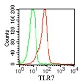TLR7 / CD287 Antibody - Flow Cytometry: TLR7 Antibody (4G6) [Azide Free] - Flow cytometric analysis of TLR7 in human monocytes using 2 ug of TLR7 monoclonal antibody (red) and 2 ug of mouse IgG1 isotype control antibody (green). This image was taken for the unmodified form of this product. Other forms have not been tested.