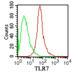 TLR7 / CD287 Antibody - Intracellular flow cytometry of TLR7 in 10^6 human BDCM cells using 1 ul of Monoclonal Antibody to TLR7 (Clone IMG4G6)PE Conjugate (red) and 0.5 ug of mouse IgG1 isotype control (green, This image was taken for the unconjugated form of this product. Other forms have not been tested.