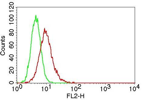 TLR7 / CD287 Antibody - Fig-4: Intracellular flow analysis of TLR7 in Raji cells using 0.5 µg/10^6 cells of TLR7 antibody. Green represents isotype control; red represents anti-TLR7 antibody. Goat anti-mouse PE conjugate was used as secondary antibody.