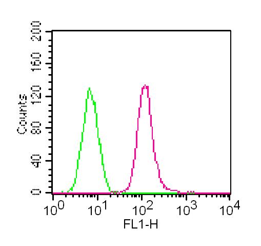 TLR7 / CD287 Antibody - Fig-1: Intracellular flow analysis of TLR7-FITC conjugated in THP1 cells using 0.5 µg/10^6 cells of TLR7-FITC antibody. Green represents isotype control; red represents anti-TLR7-FITC antibody.