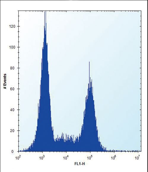 TLR9 Antibody - TLR9 Antibody flow cytometry of Ramos cells (right histogram) compared to a negative control cell (left histogram). FITC-conjugated donkey-anti-rabbit secondary antibodies were used for the analysis.