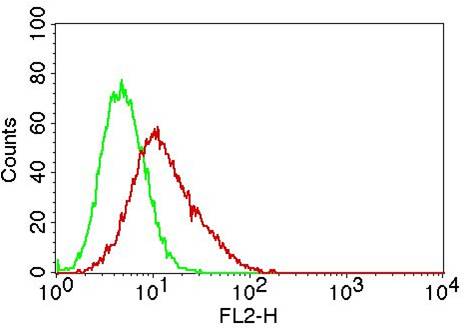 TLR9 Antibody - Fig-4: Intracellular flow analysis of TLR9 in Raji cells using 0.5 µg/10^6 cells of TLR9 antibody. Green represents isotype control; red represents anti-TLR9 antibody. Goat anti-mouse PE conjugate was used as secondary antibody.