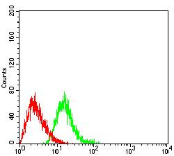 TLR9 Antibody - Flow cytometric analysis of HL-60 cells using CD289 mouse mAb (green) and negative control (red).