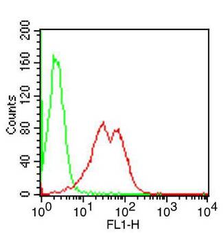 TLR9 Antibody - Fig-1: Intracellular flow analysis of FITC-conjugated mTLR9 antibody in mouse splenocytes using 0.25 µg/10^6 cells of FITC-conjugated mTLR9 antibody. Green represents isotype control; red represents anti-mTLR9 antibody conjugated with FITC.