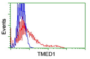TMED1 / ST2L Antibody - HEK293T cells transfected with either overexpress plasmid (Red) or empty vector control plasmid (Blue) were immunostained by anti-TMED1 antibody, and then analyzed by flow cytometry.
