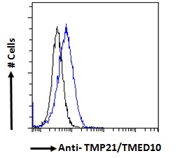 TMED10 / TMP21 Antibody - TMED10 / TMP21 antibody flow cytometric analysis of paraformaldehyde fixed HeLa cells (blue line), permeabilized with 0.5% Triton. Primary incubation 1hr (10ug/ml) followed by Alexa Fluor 488 secondary antibody (1ug/ml). IgG control: Unimmunized goat IgG (black line) followed by Alexa Fluor 488 secondary antibody.