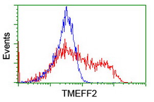TMEFF2 Antibody - HEK293T cells transfected with either overexpress plasmid (Red) or empty vector control plasmid (Blue) were immunostained by anti-TMEFF2 antibody, and then analyzed by flow cytometry.
