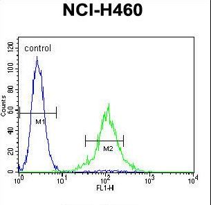 TMEM100 Antibody - TMEM100 Antibody flow cytometry of NCI-H460 cells (right histogram) compared to a negative control cell (left histogram). FITC-conjugated goat-anti-rabbit secondary antibodies were used for the analysis.