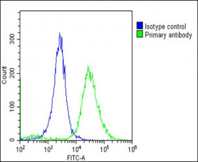 TMEM106B Antibody - Overlay histogram showing Hela cells stained with TMEM106B Antibody (C-Term) (green line). The cells were fixed with 2% paraformaldehyde (10 min) and then permeabilized with 90% methanol for 10 min. The cells were then icubated in 2% bovine serum albumin to block non-specific protein-protein interactions followed by the antibody (TMEM106B Antibody (C-Term), 1:25 dilution) for 60 min at 37°C. The secondary antibody used was Goat-Anti-Rabbit IgG, DyLight® 488 Conjugated Highly Cross-Adsorbed (OE188374) at 1/200 dilution for 40 min at 37°C. Isotype control antibody (blue line) was rabbit IgG1 (1µg/1x10^6 cells) used under the same conditions. Acquisition of >10, 000 events was performed.